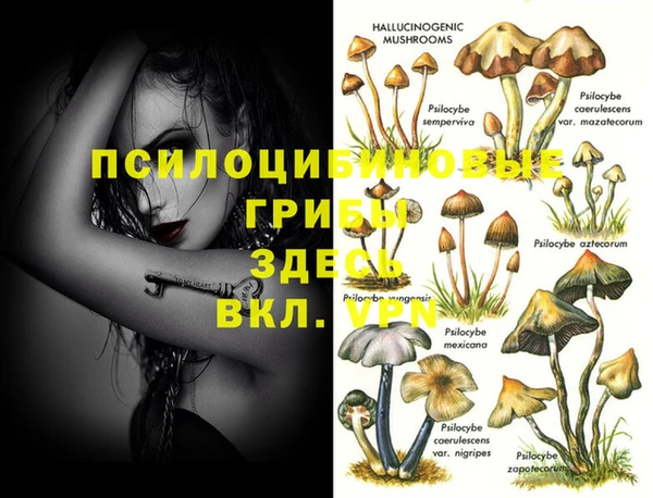 ешки Алзамай