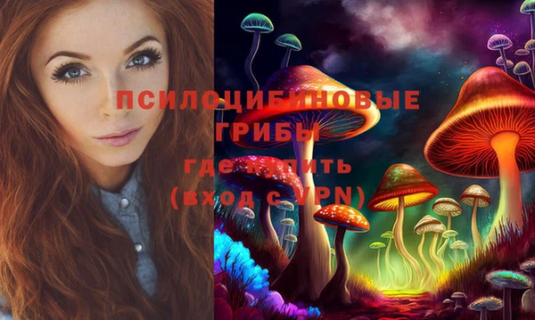 ешки Алзамай