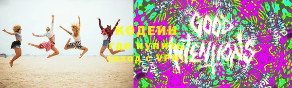 прущие грибы Алексеевка