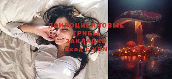 прущие грибы Алексеевка