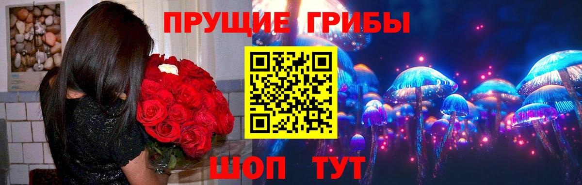 Псилоцибиновые грибы прущие грибы Клинцы